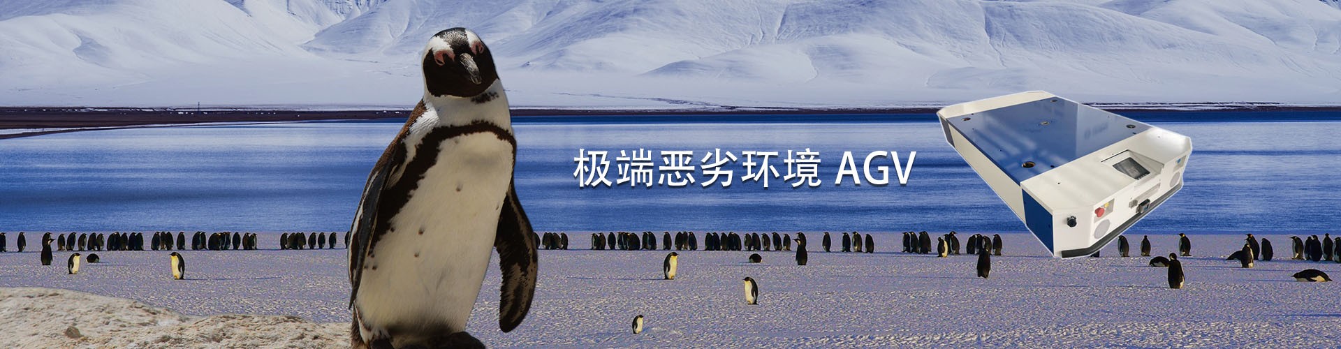 球盟会手机版登录